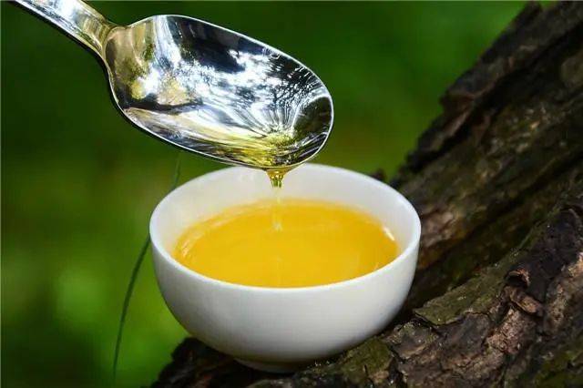 为什么山茶油被誉为“生活中最好的食用油”